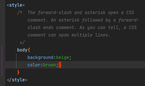 A style tag can contain CSS rules and comments